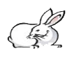 马会特供资料-生肖兔